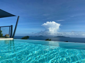 Villa avec piscine à débordement face aux Saintes